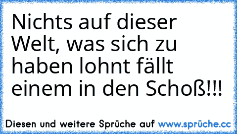 Nichts auf dieser Welt, was sich zu haben lohnt fällt einem in den Schoß!!!