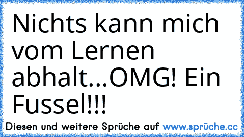 Nichts kann mich vom Lernen  abhalt...
OMG! Ein Fussel!!!