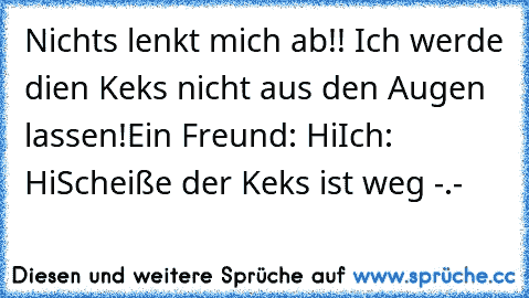 Nichts lenkt mich ab!! Ich werde dien Keks nicht aus den Augen lassen!
Ein Freund: Hi
Ich: Hi
Scheiße der Keks ist weg -.-