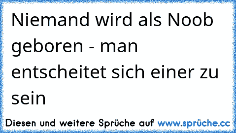 Niemand wird als Noob geboren - man entscheitet sich einer zu sein