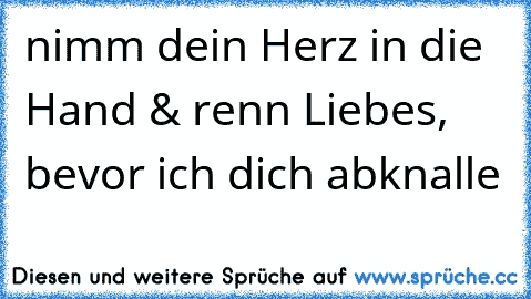 nimm dein Herz in die Hand & renn Liebes, bevor ich dich abknalle