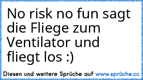 No risk no fun sagt die Fliege zum Ventilator und fliegt los :)