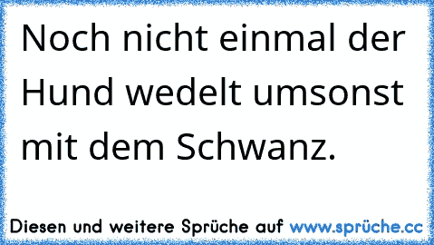 Noch nicht einmal der Hund wedelt umsonst mit dem Schwanz.