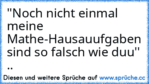 ''Noch nicht einmal meine Mathe-Hausauufgaben sind so falsch wie duu'' ..