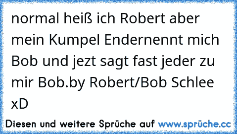 normal heiß ich Robert aber mein Kumpel Ender
nennt mich Bob und jezt sagt fast jeder zu mir Bob.
by Robert/Bob Schlee xD