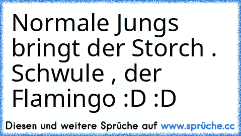 Normale Jungs bringt der Storch . Schwule , der Flamingo :D :D