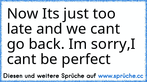 Now It´s just too late and we can´t go back. I´m sorry,I can´t be perfect ♥