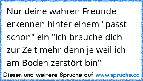 Nur deine wahren Freunde erkennen hinter einem "passt schon" ein "ich brauche dich zur Zeit mehr denn je weil ich am Boden zerstört bin"