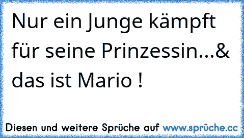 Nur ein Junge kämpft für seine Prinzessin...
& das ist Mario ! ♥