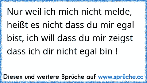 Nur weil ich mich nicht melde, heißt es nicht dass du mir egal bist, ich will dass du mir zeigst dass ich dir nicht egal bin !