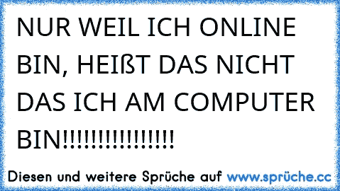 NUR WEIL ICH ONLINE BIN, HEIßT DAS NICHT DAS ICH AM COMPUTER BIN!!!!!!!!!!!!!!!!