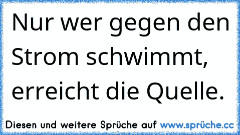 Nur wer gegen den Strom schwimmt, erreicht die Quelle.