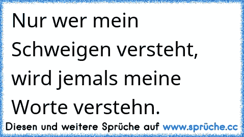 Nur wer mein Schweigen versteht, wird jemals meine Worte verstehn.