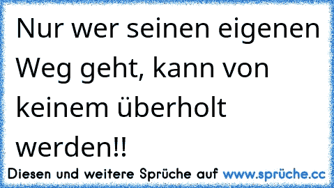 Nur wer seinen eigenen Weg geht, kann von keinem überholt werden!! ♥