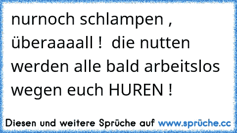 nurnoch schlampen , überaaaall !  die nutten werden alle bald arbeitslos wegen euch HUREN !