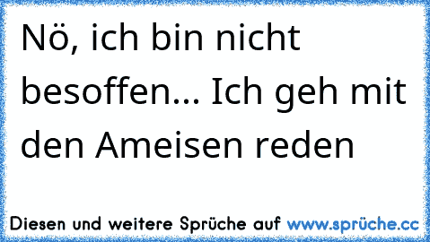 Nö, ich bin nicht besoffen... Ich geh mit den Ameisen reden