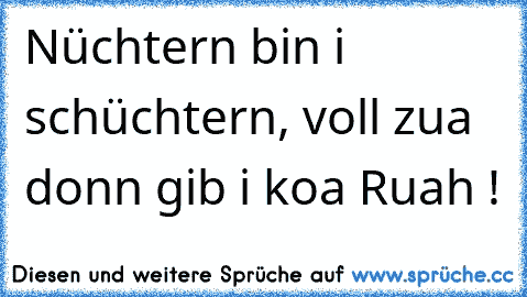 Nüchtern bin i schüchtern, voll zua donn gib i koa Ruah !