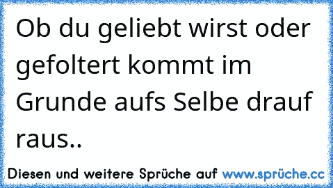 Ob du geliebt wirst oder gefoltert kommt im Grunde aufs Selbe drauf raus..