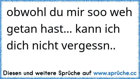 obwohl du mir soo weh getan hast... kann ich dich nicht vergessn..