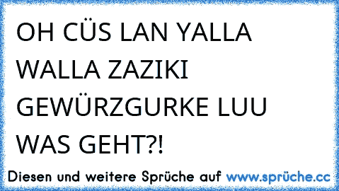 OH CÜS LAN YALLA WALLA ZAZIKI GEWÜRZGURKE LUU WAS GEHT?!