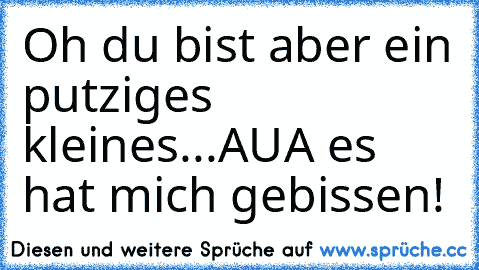 Oh du bist aber ein putziges kleines...AUA es hat mich gebissen!