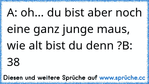 A: oh... du bist aber noch eine ganz junge maus, wie alt bist du denn ?
B: 38