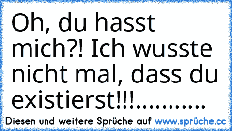 Oh, du hasst mich?! Ich wusste nicht mal, dass du existierst!!!...........