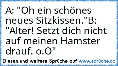 A: "Oh ein schönes neues Sitzkissen."
B: "Alter! Setzt dich nicht auf meinen Hamster drauf. o.O"