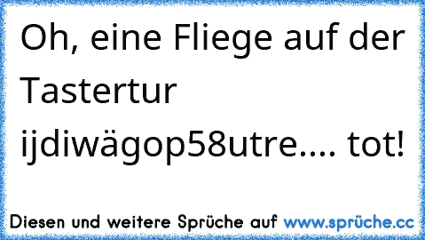 Oh, eine Fliege auf der Tastertur ijdiwägop58utre.... tot!