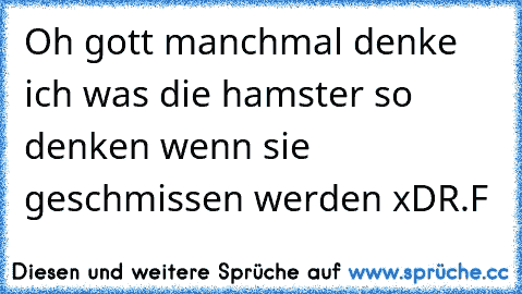 Oh gott manchmal denke ich was die hamster so denken wenn sie geschmissen werden xD
R.F