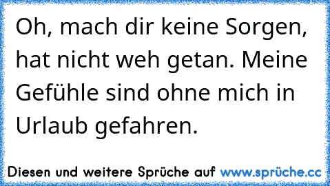 Oh, mach dir keine Sorgen, hat nicht weh getan. Meine Gefühle sind ohne mich in Urlaub gefahren.