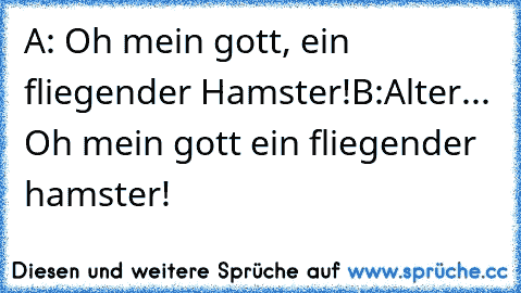 A: Oh mein gott, ein fliegender Hamster!
B:Alter... Oh mein gott ein fliegender hamster!