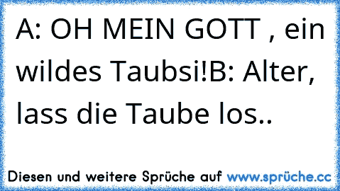 A: OH MEIN GOTT , ein wildes Taubsi!
B: Alter, lass die Taube los..