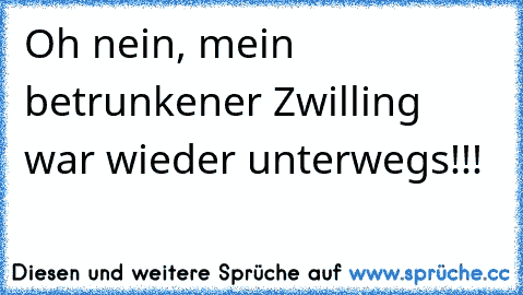 Oh nein, mein betrunkener Zwilling war wieder unterwegs!!!