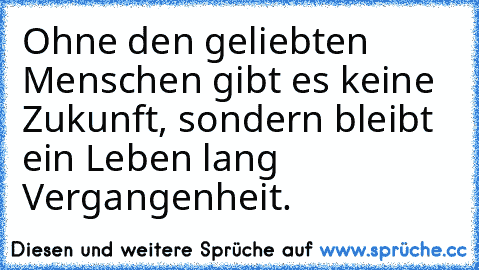 Ohne den geliebten Menschen gibt es keine Zukunft, sondern bleibt ein Leben lang Vergangenheit. ☆