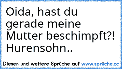 Oida, hast du gerade meine Mutter beschimpft?! Hurensohn..