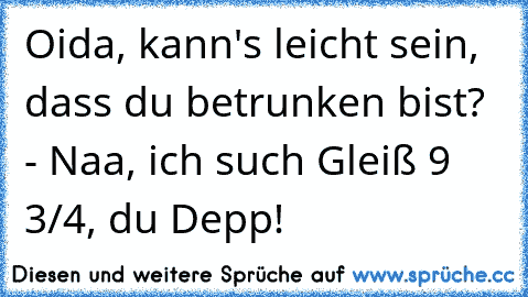 Oida, kann's leicht sein, dass du betrunken bist? - Naa, ich such Gleiß 9 3/4, du Depp!