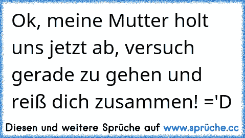 Ok, meine Mutter holt uns jetzt ab, versuch gerade zu gehen und reiß dich zusammen! ='D