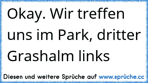 Okay. Wir treffen uns im Park, dritter Grashalm links