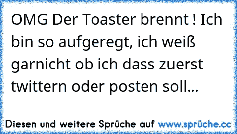 OMG Der Toaster brennt ! Ich bin so aufgeregt, ich weiß garnicht ob ich dass zuerst twittern oder posten soll...