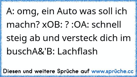 A: omg, ein Auto was soll ich machn? xO
B: ? :O
A: schnell steig ab und versteck dich im busch
A&'B: Lachflash ♥