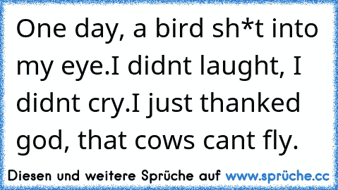 One day, a bird sh*t into my eye.
I didn´t laught, I didn´t cry.
I just thanked god, that cows cant fly.
♥ ♥ ♥