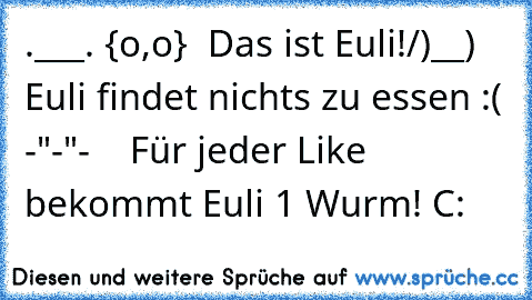 .___.
 {o,o}  Das ist Euli!
/)__)    Euli findet nichts zu essen :(
 -"-"-    Für jeder Like bekommt Euli 1 Wurm! C: