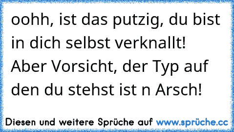 oohh, ist das putzig, du bist in dich selbst verknallt! Aber Vorsicht, der Typ auf den du stehst ist n Arsch!