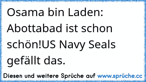 Osama bin Laden: Abottabad ist schon schön!
US Navy Seals gefällt das.