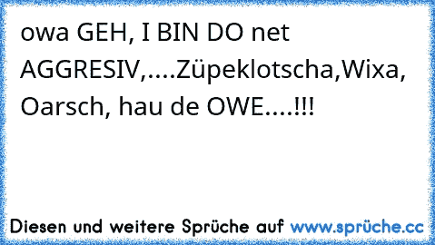 owa GEH, I BIN DO net AGGRESIV,....Züpeklotscha,Wixa, Oarsch, hau de OWE....!!!