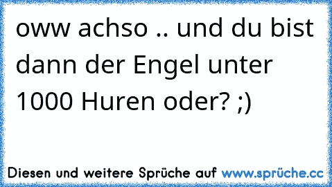 oww achso .. und du bist dann der Engel unter 1000 Huren oder? ;)