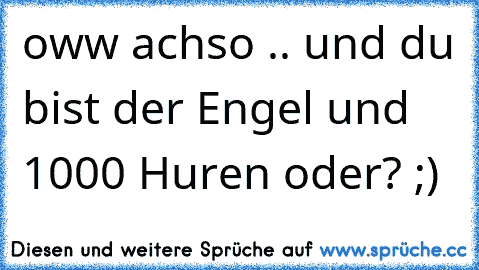 oww achso .. und du bist der Engel und 1000 Huren oder? ;)