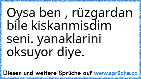 Oysa ben , rüzgardan bile kiskanmisdim seni. yanaklarini oksuyor diye.