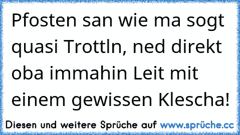 Pfosten san wie ma sogt quasi Trottln, ned direkt oba immahin Leit mit einem gewissen Klescha!